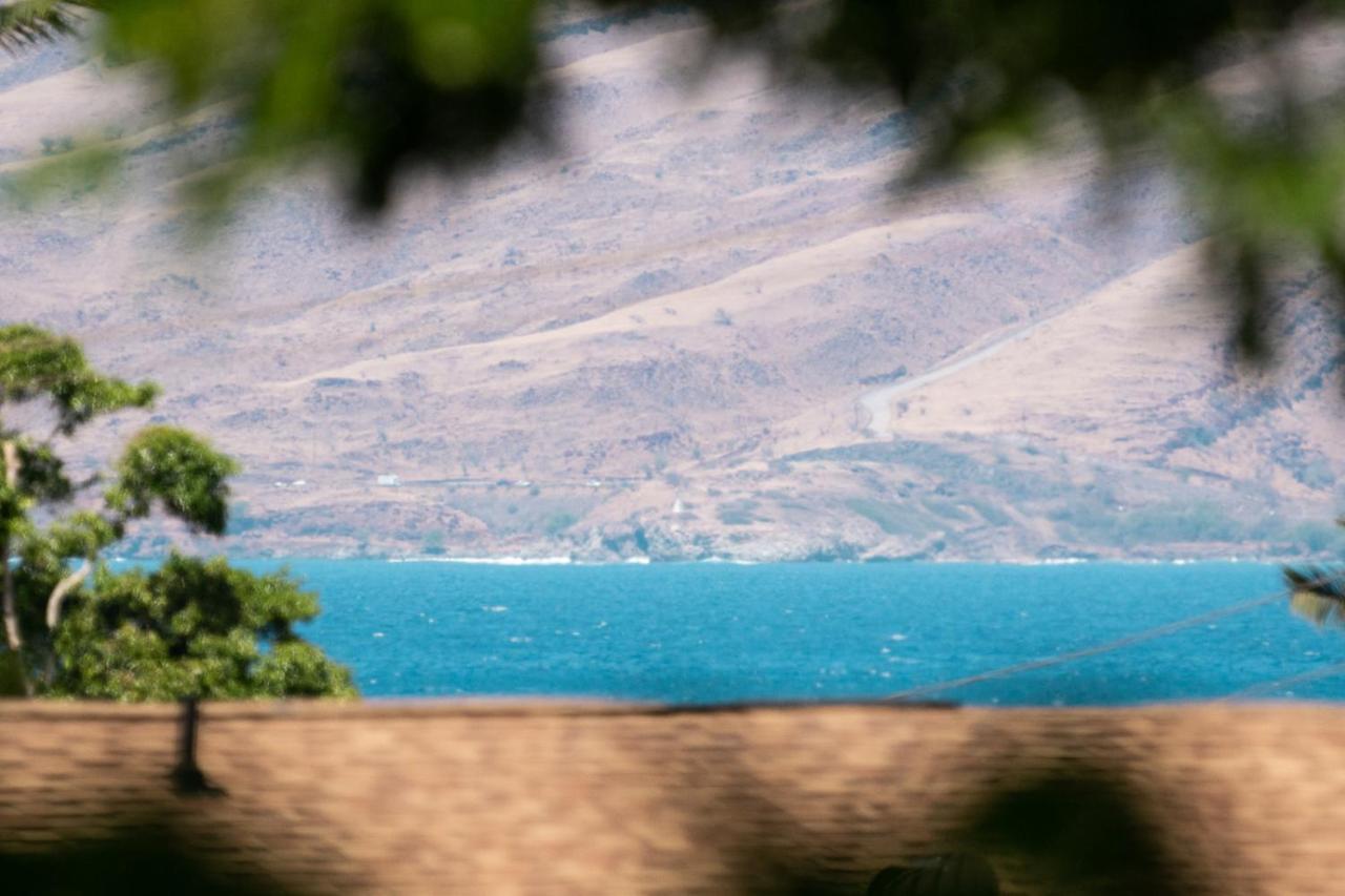 Maui-Licious By The Beach Kihei Exterior foto